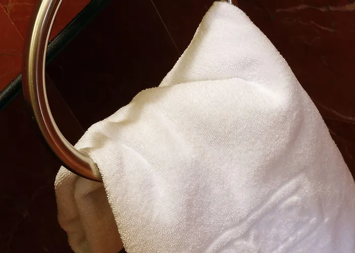 酒店 阿尔克玛酒店